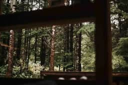 Jordan River Rainforest Cabin & Spa - Image 5