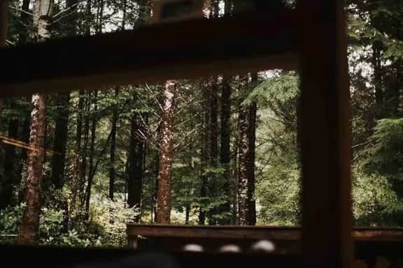 Jordan River Rainforest Cabin & Spa - Image 5
